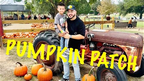 devine acres farm reviews|devine farms pumpkin patch.